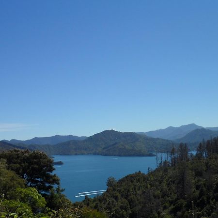 Sequoia Lodge Backpackers Picton Exterior photo