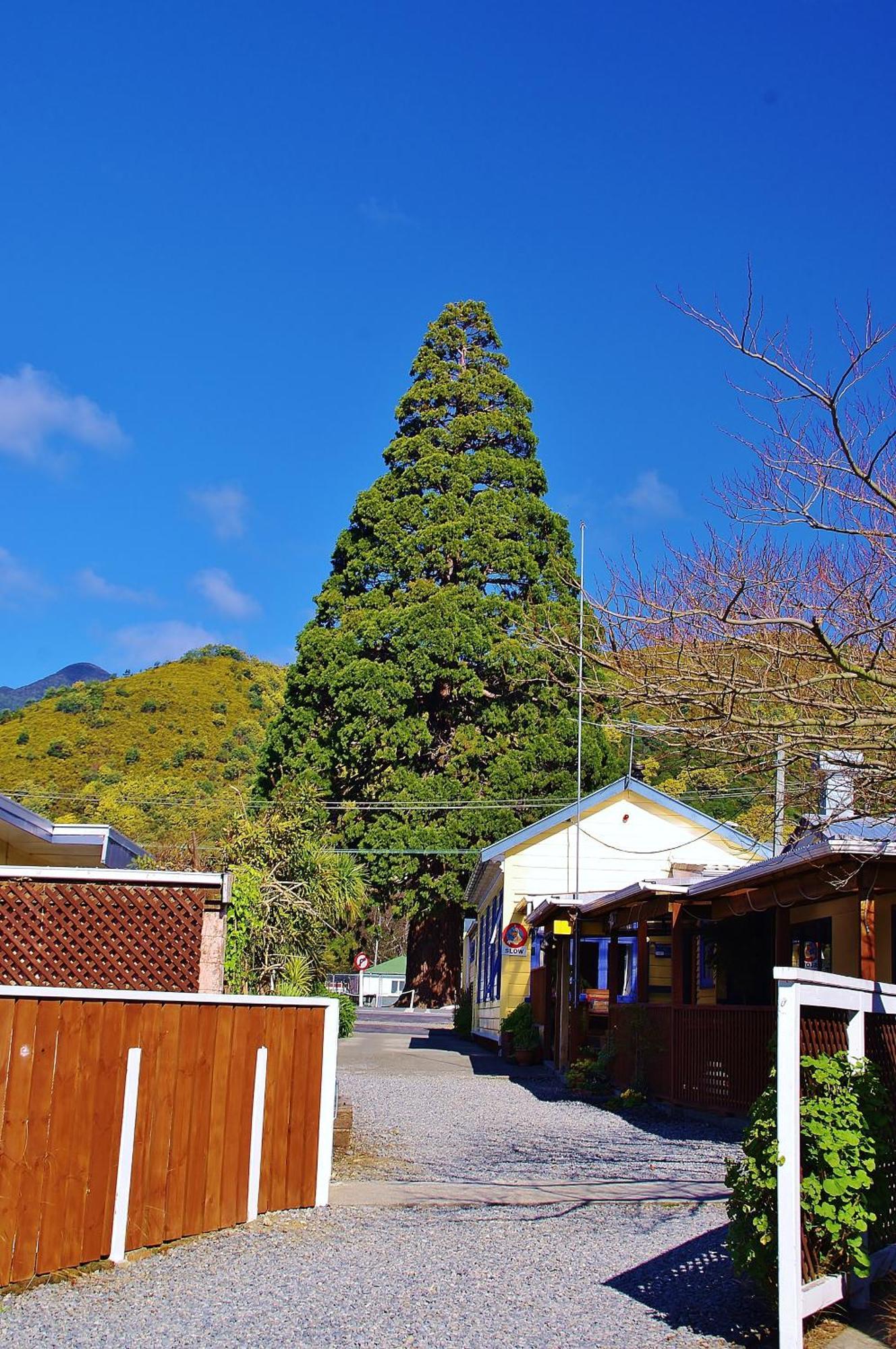 Sequoia Lodge Backpackers Picton Exterior photo