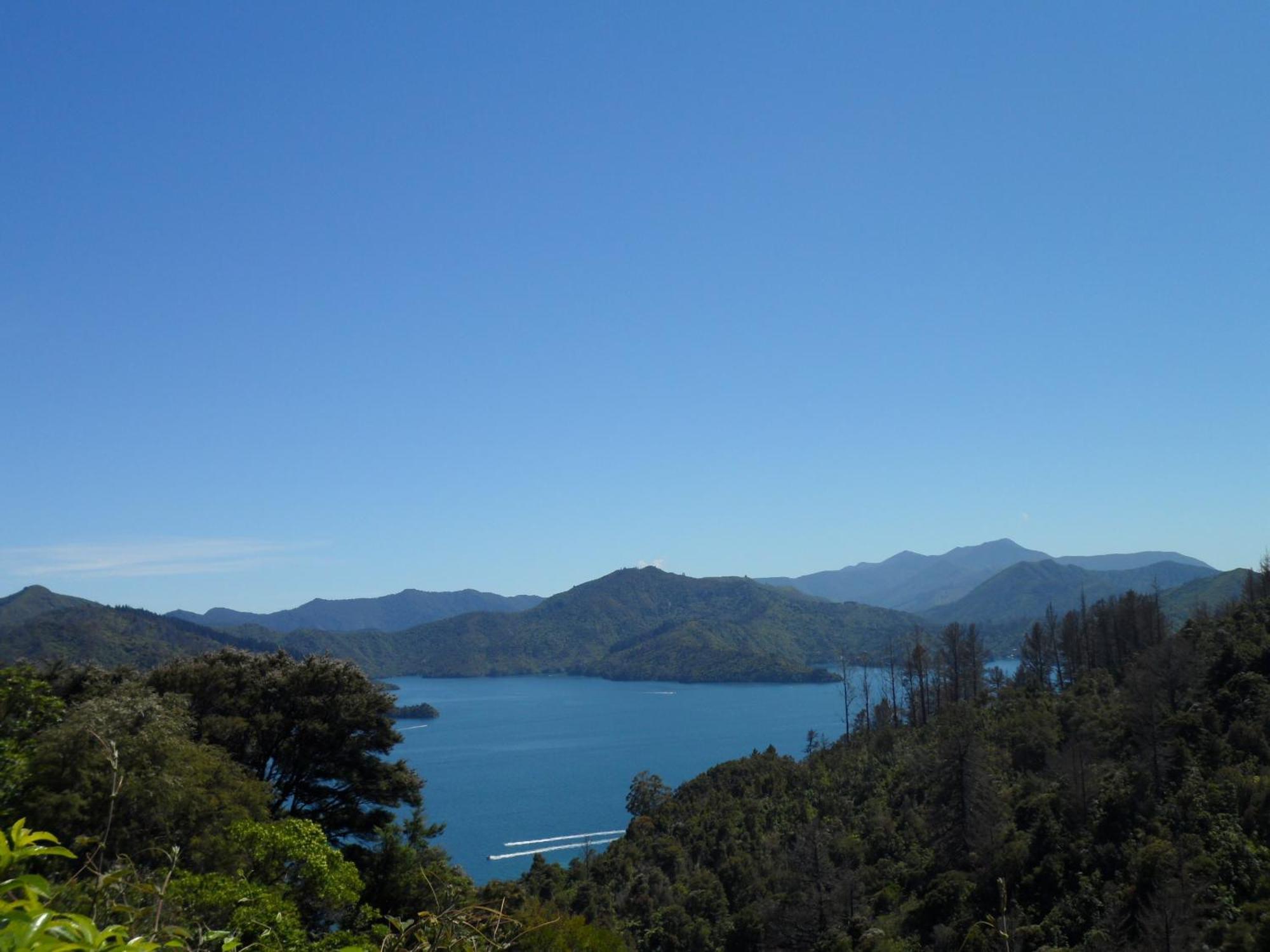 Sequoia Lodge Backpackers Picton Exterior photo